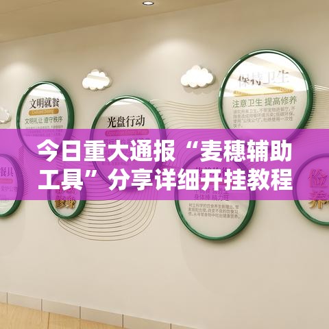 今日重大通报“麦穗辅助工具”分享详细开挂教程