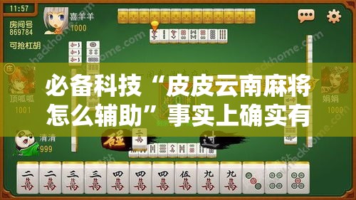 必备科技“皮皮云南麻将怎么辅助	”事实上确实有挂