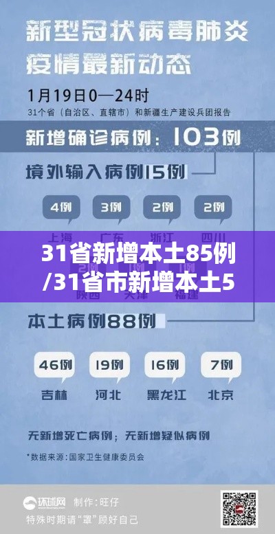 31省新增本土85例/31省市新增本土530 1838 31省新增本土85例/31省市新增本土530 1838