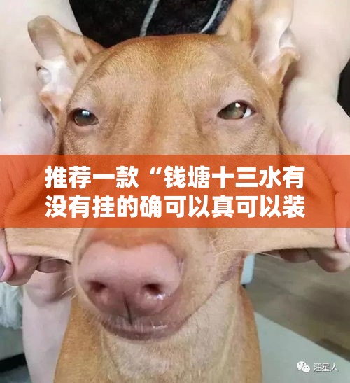 推荐一款“钱塘十三水有没有挂的确可以真可以装挂