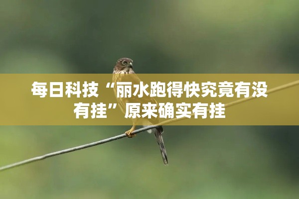 每日科技“丽水跑得快究竟有没有挂”原来确实有挂