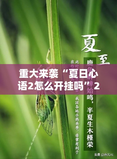 重大来袭“夏日心语2怎么开挂吗	”2026用挂