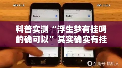 科普实测“浮生梦有挂吗的确可以”其实确实有挂