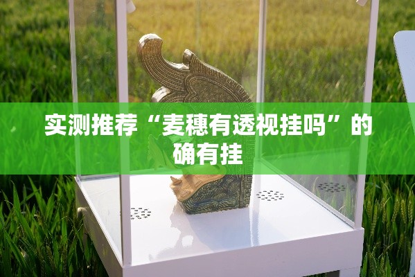 实测推荐“麦穗有透视挂吗”的确有挂