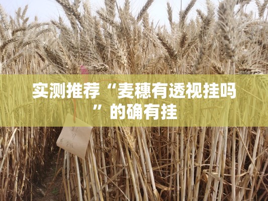 实测推荐“麦穗有透视挂吗	”的确有挂