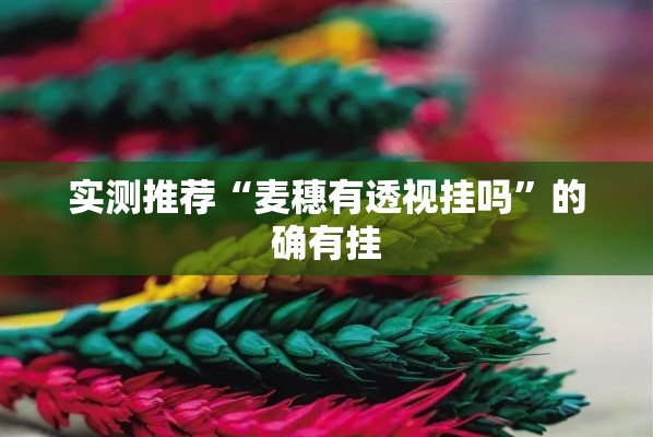 实测推荐“麦穗有透视挂吗”的确有挂