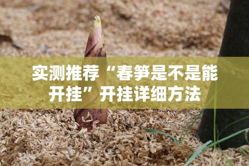 实测推荐“春笋是不是能开挂”开挂详细方法