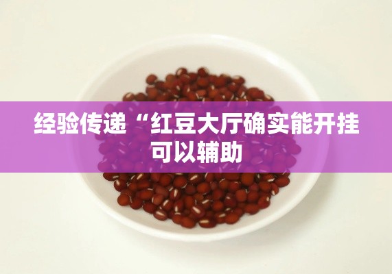 经验传递“红豆大厅确实能开挂可以辅助