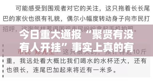 今日重大通报“聚贤有没有人开挂”事实上真的有挂