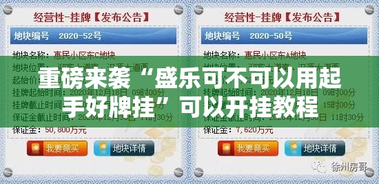 重磅来袭“盛乐可不可以用起手好牌挂”可以开挂教程