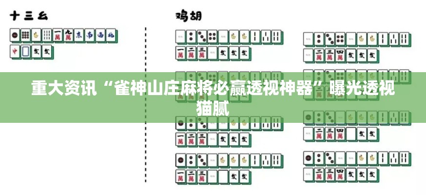 重大资讯“雀神山庄麻将必赢透视神器”曝光透视猫腻