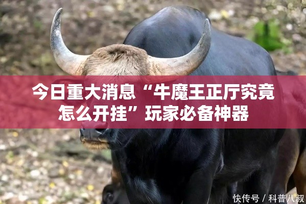 今日重大消息“牛魔王正厅究竟怎么开挂”玩家必备神器