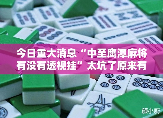 今日重大消息“中至鹰潭麻将有没有透视挂”太坑了原来有挂