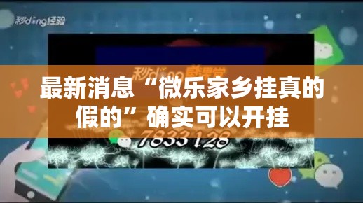 最新消息“微乐家乡挂真的假的”确实可以开挂