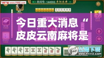 今日重大消息“皮皮云南麻将是不是能开挂”解密透视猫腻
