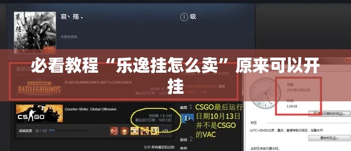 必看教程“乐逸挂怎么卖”原来可以开挂