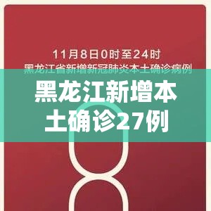 黑龙江新增本土确诊27例(黑龙江新增7例确诊 81例无症状) 黑龙江新增本土确诊27例(黑龙江新增7例确诊 81例无症状)