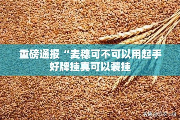 重磅通报“麦穗可不可以用起手好牌挂真可以装挂