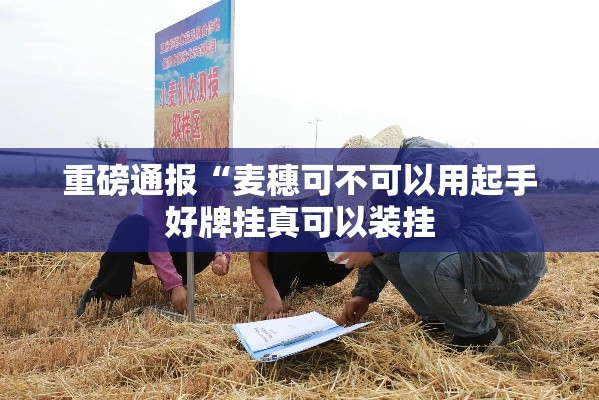 重磅通报“麦穗可不可以用起手好牌挂真可以装挂