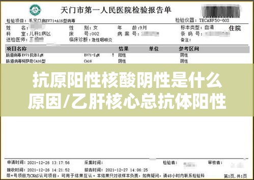 抗原阳性核酸阴性是什么原因/乙肝核心总抗体阳性是什么意思
