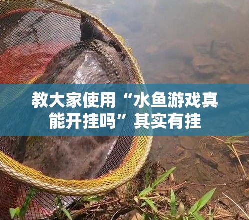 教大家使用“水鱼游戏真能开挂吗”其实有挂