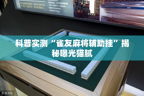 科普实测“雀友麻将辅助挂”揭秘曝光猫腻