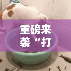 重磅来袭“打牌网有挂吗的确有挂”专业师傅带你了解