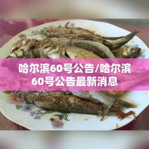 哈尔滨60号公告/哈尔滨60号公告最新消息 哈尔滨60号公告/哈尔滨60号公告最新消息