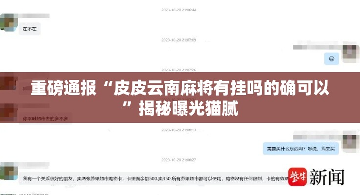 重磅通报“皮皮云南麻将有挂吗的确可以”揭秘曝光猫腻