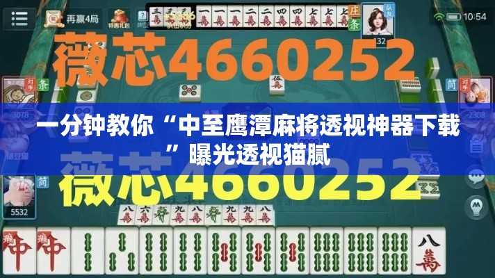 一分钟教你“中至鹰潭麻将透视神器下载	”曝光透视猫腻