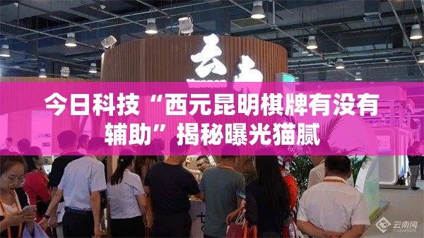 今日科技“西元昆明棋牌有没有辅助”揭秘曝光猫腻