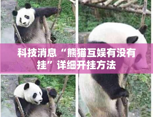 科技消息“熊猫互娱有没有挂”详细开挂方法