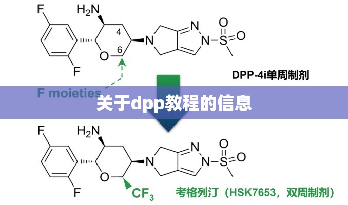 关于dpp教程的信息 关于dpp教程的信息