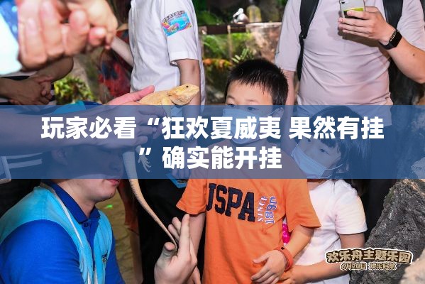 玩家必看“狂欢夏威夷 果然有挂”确实能开挂 