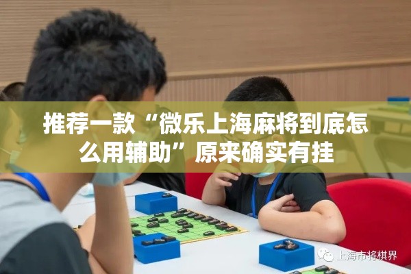 推荐一款“微乐上海麻将到底怎么用辅助	”原来确实有挂
