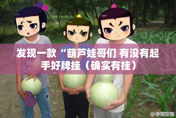 发现一款“葫芦娃哥们 有没有起手好牌挂（确实有挂）