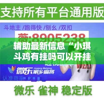 辅助最新信息“小琪斗鸡有挂吗可以开挂的”真的有挂