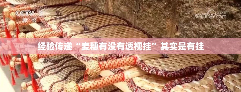 经验传递“麦穗有没有透视挂”其实是有挂