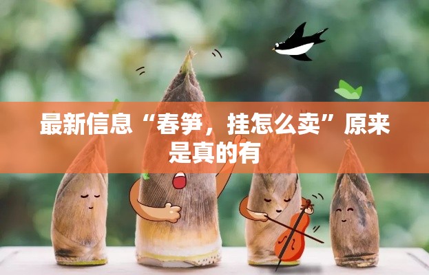 最新信息“春笋	，挂怎么卖	”原来是真的有