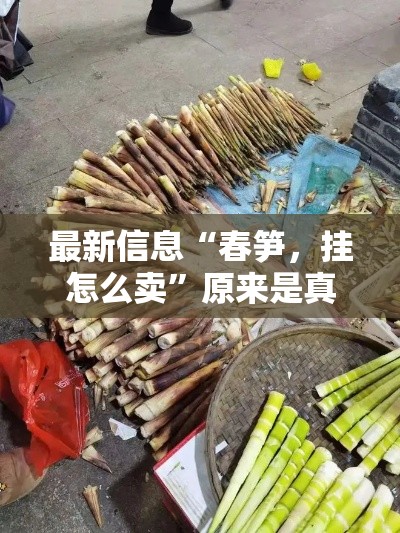 最新信息“春笋，挂怎么卖”原来是真的有