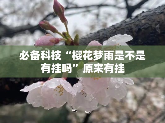 必备科技“樱花梦雨是不是有挂吗”原来有挂