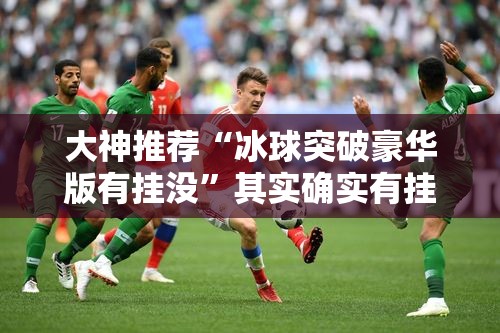 大神推荐“冰球突破豪华版有挂没”其实确实有挂