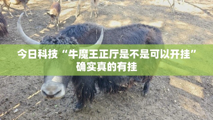 今日科技“牛魔王正厅是不是可以开挂”确实真的有挂