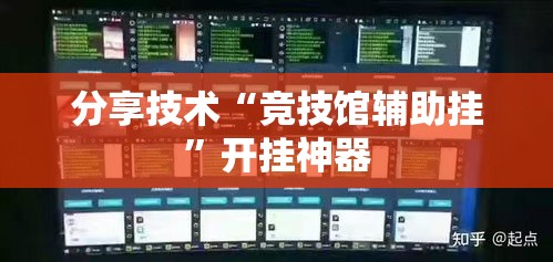 分享技术“竞技馆辅助挂”开挂神器