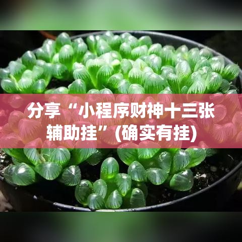 分享“小程序财神十三张辅助挂”(确实有挂)