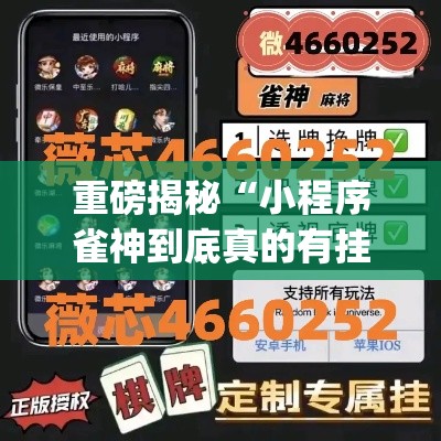 重磅揭秘“小程序雀神到底真的有挂吗	”(确实有挂)