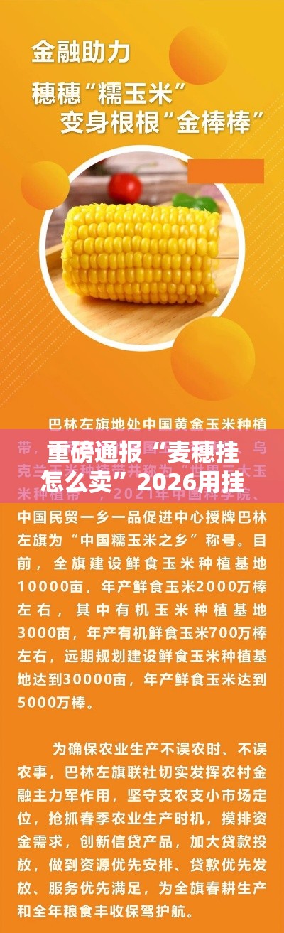 重磅通报“麦穗挂怎么卖	”2026用挂