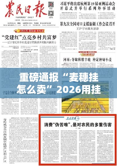 重磅通报“麦穗挂怎么卖”2026用挂