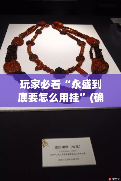 玩家必看“永盛到底要怎么用挂”(确实有挂)