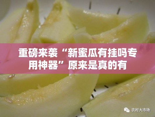 重磅来袭“新蜜瓜有挂吗专用神器”原来是真的有